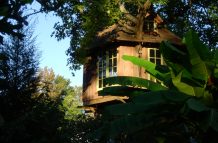 Whimsical Tree House